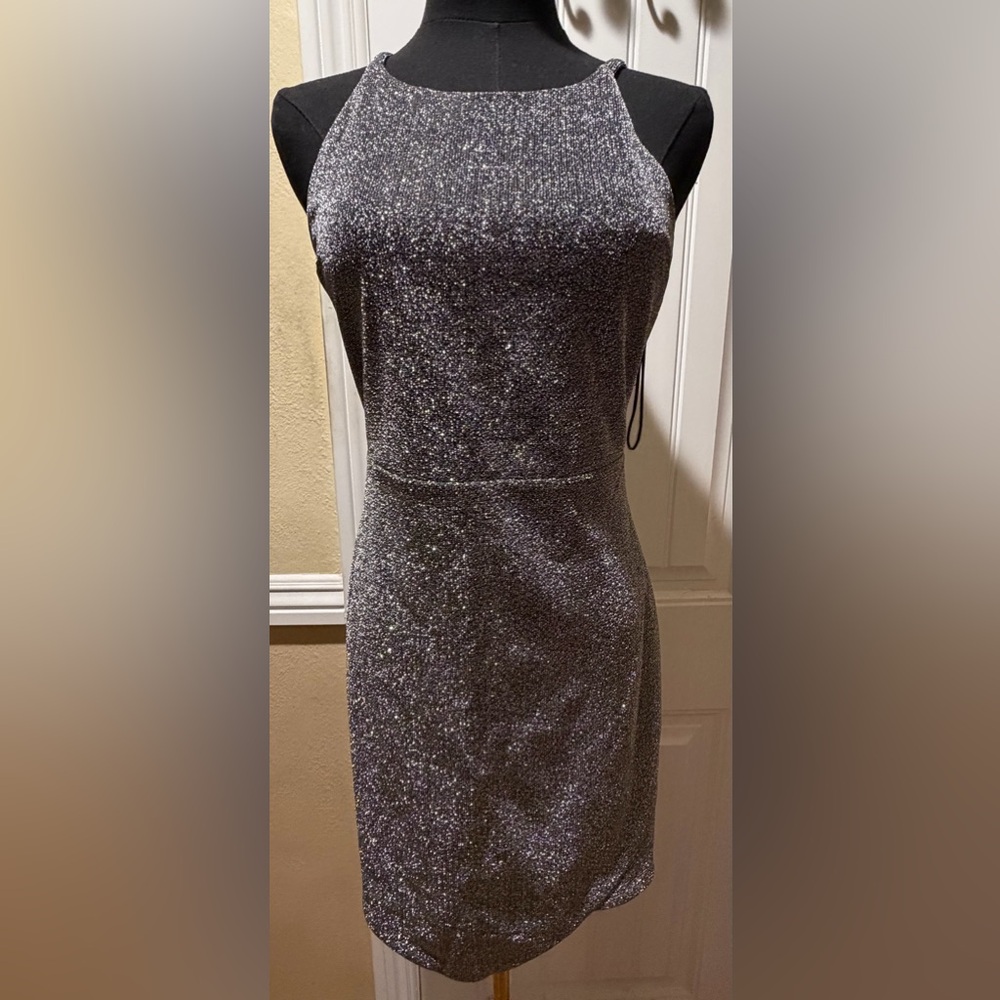 Express Shimmering Silver  Dress